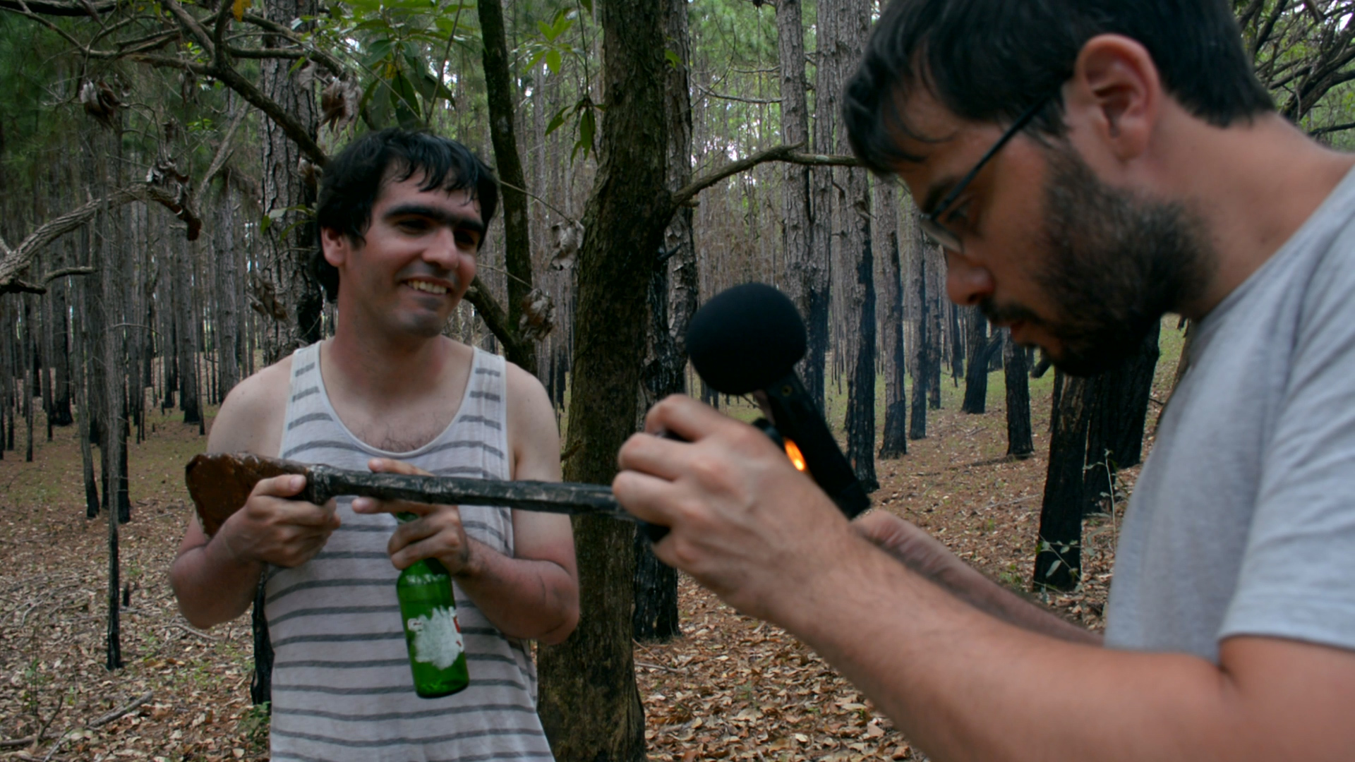 A Nau dos Loucos: Mergulho e Decolagem de Pazucus