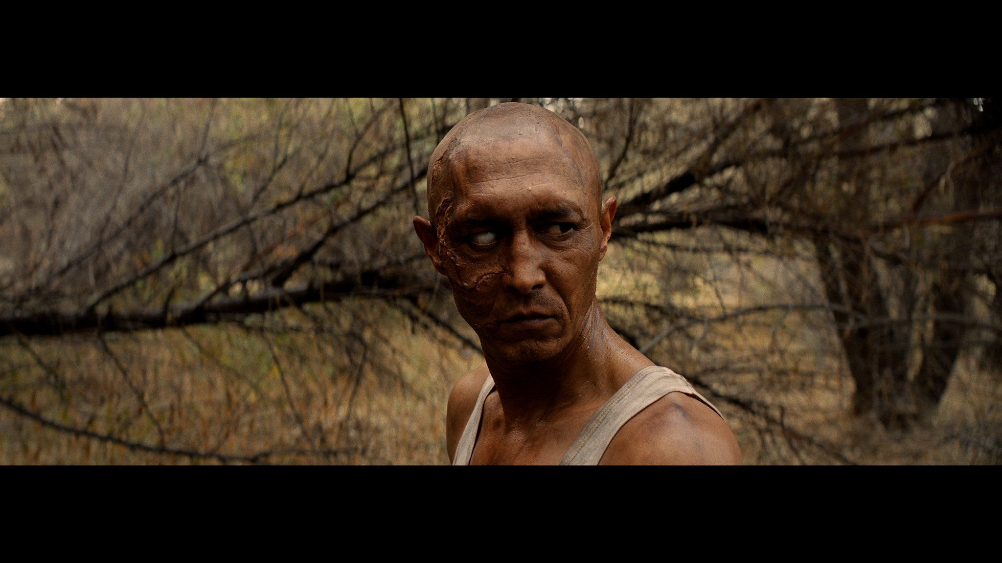 Querida, Você Não Vai Acreditar