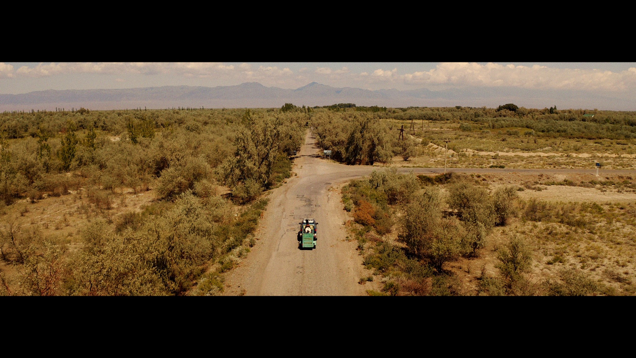 Querida, Você Não Vai Acreditar