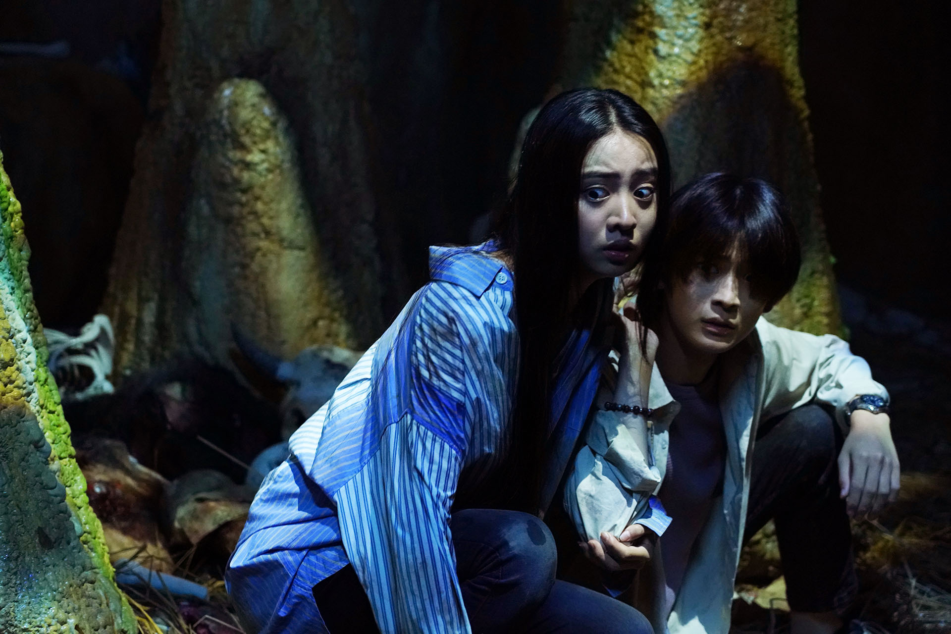 A Vila da CabeÃ§a de Boi